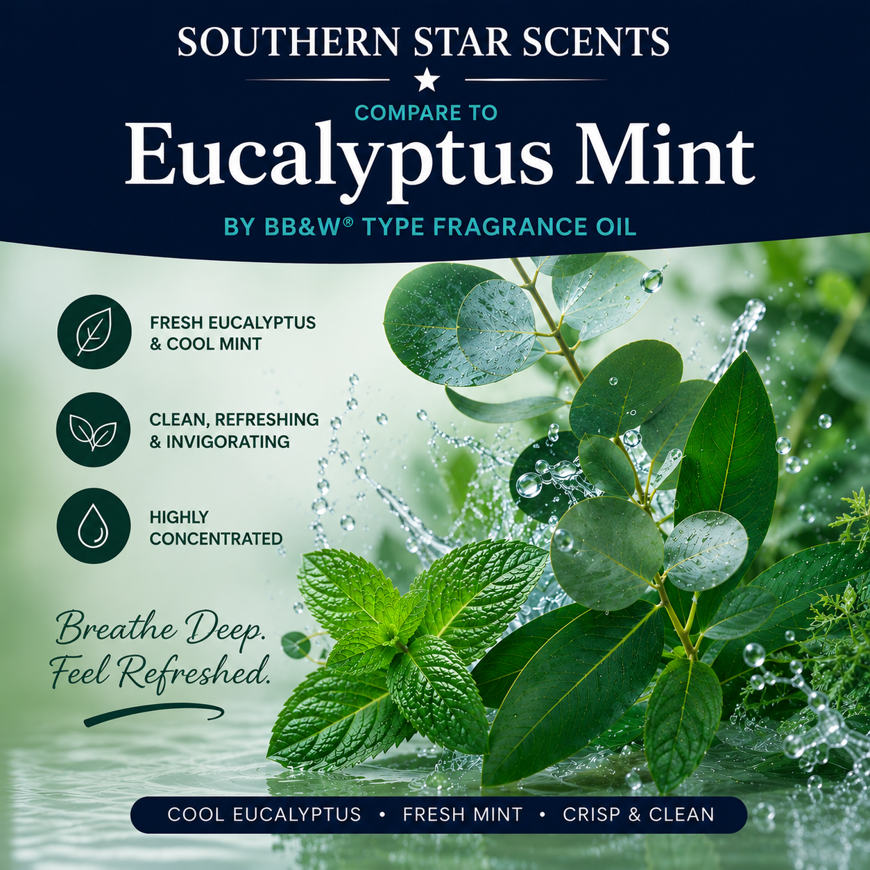 Southern Star Scents – Compare to Eucalyptus Mint by BB&W® Type Fragrance Oil